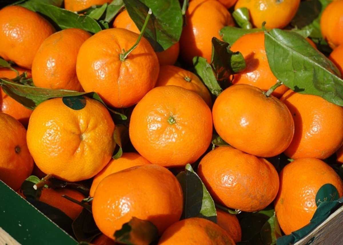 Mandarina