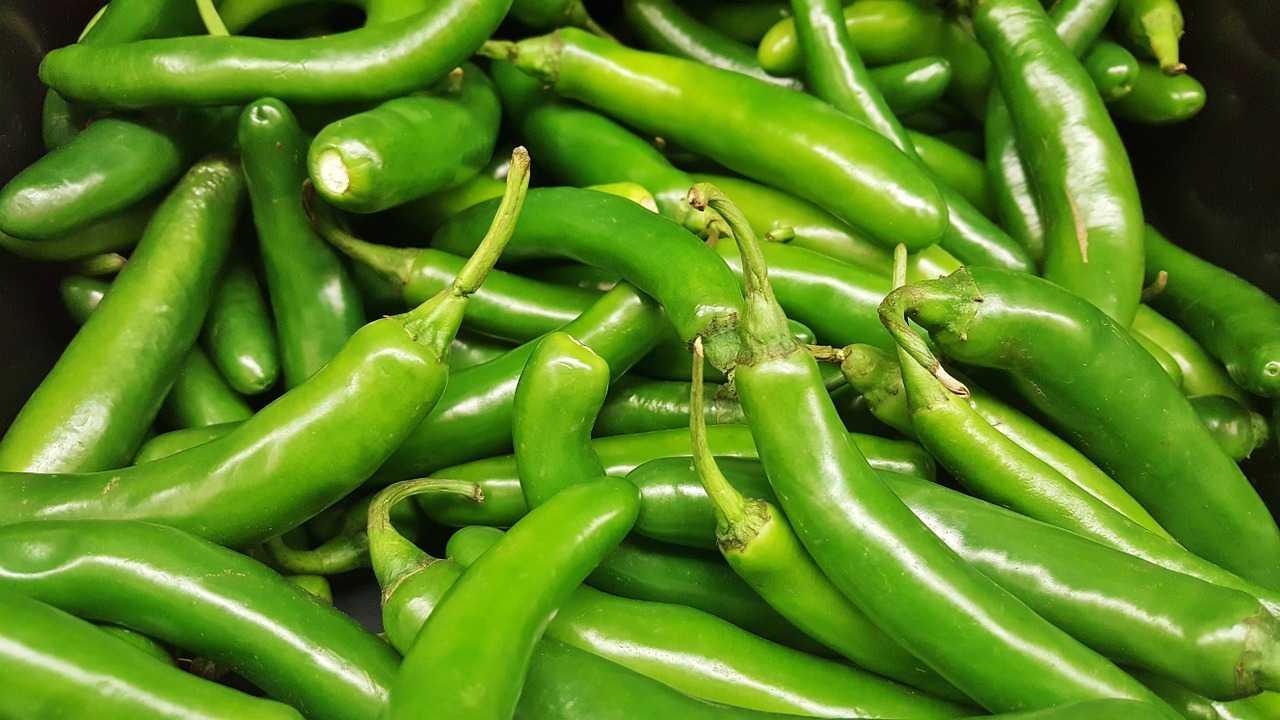 Chile Serrano