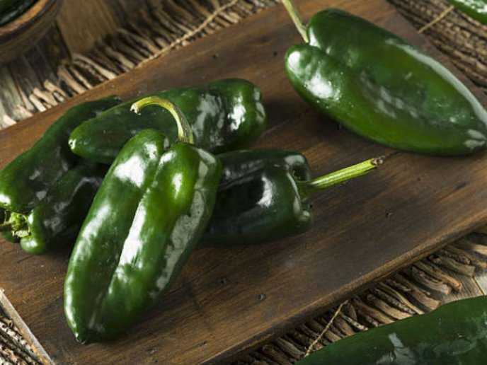 Chile Poblano