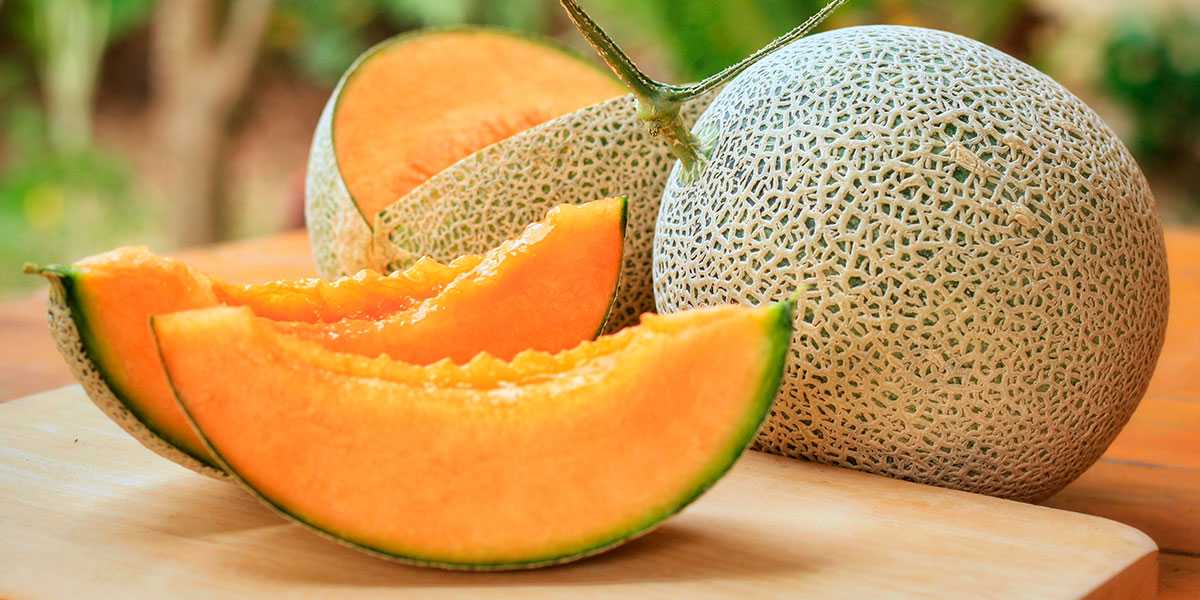 Melón