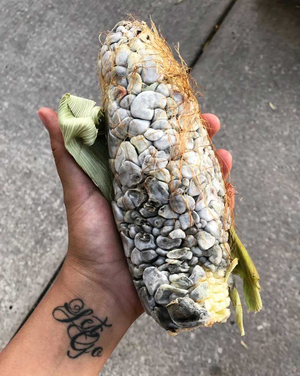 Cuitlacoche