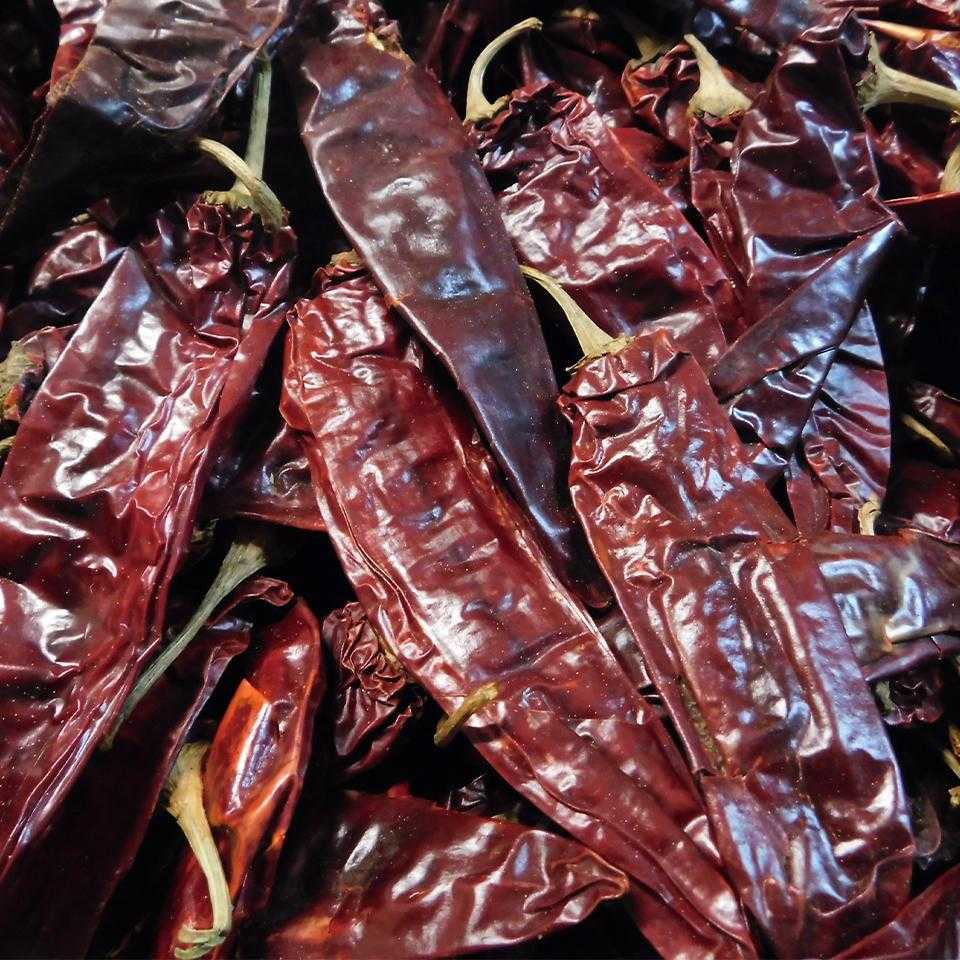 Chile Guajillo