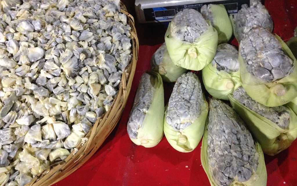 Cuitlacoche