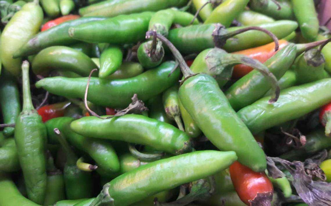 Chile Serrano