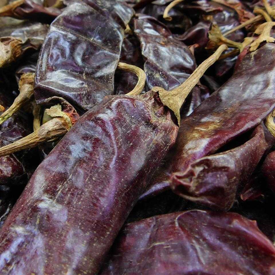 Chile Guajillo