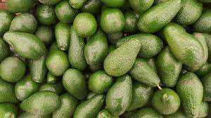 Aguacate