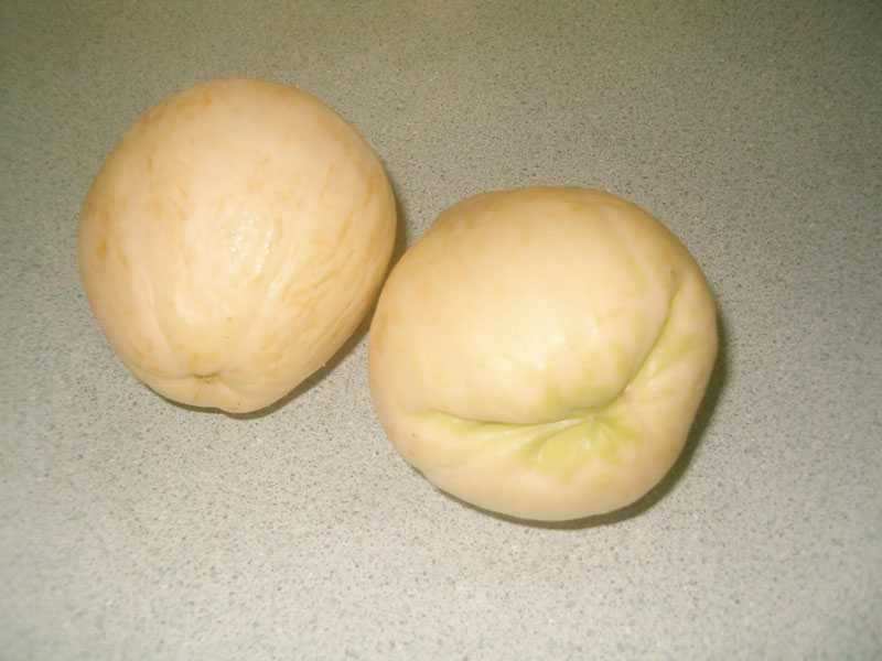 Chayote