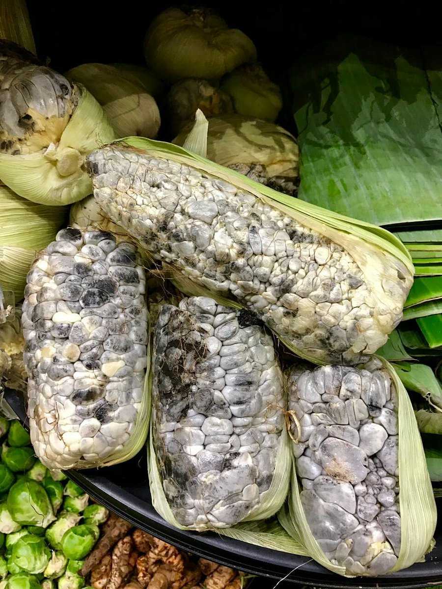 Cuitlacoche