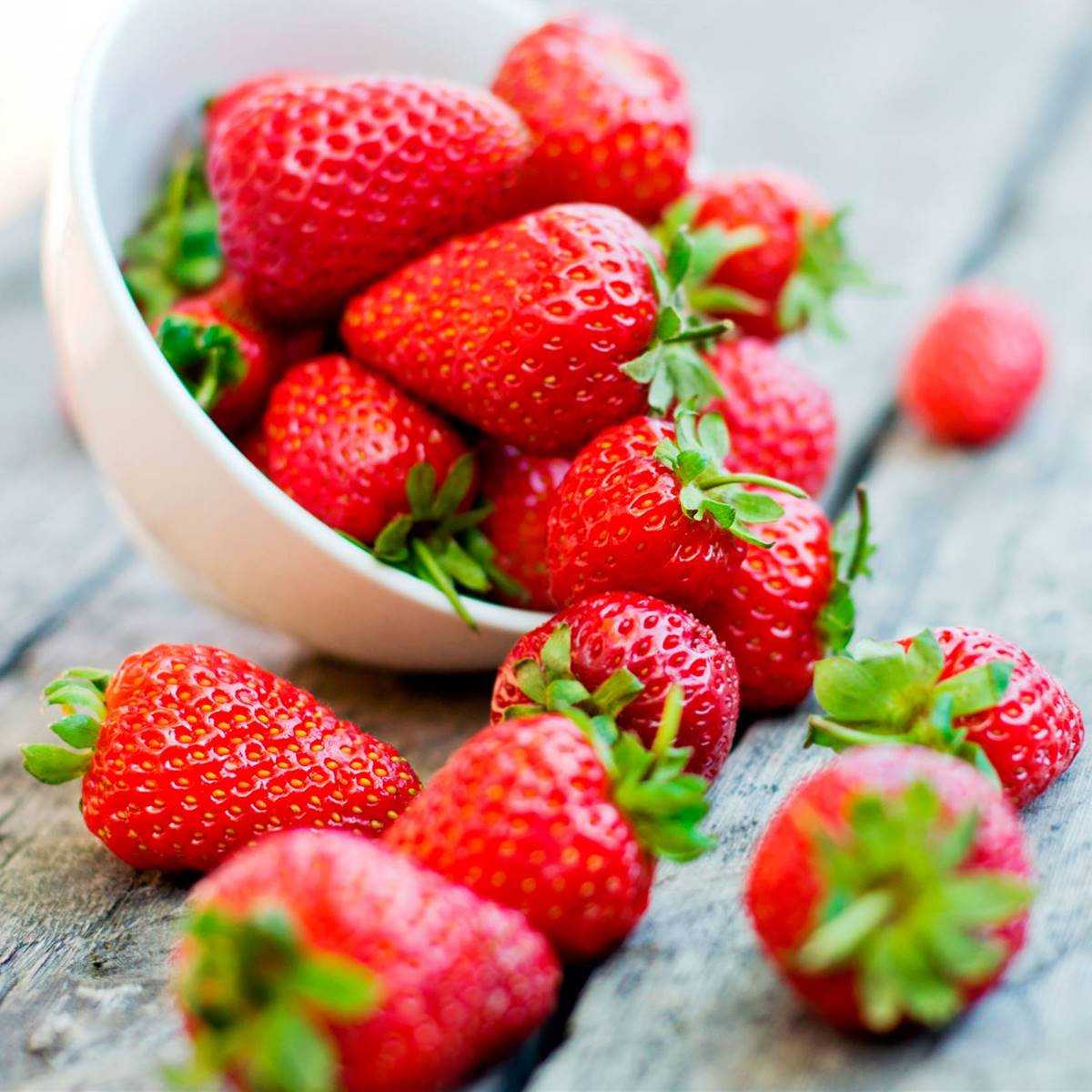 Fresas