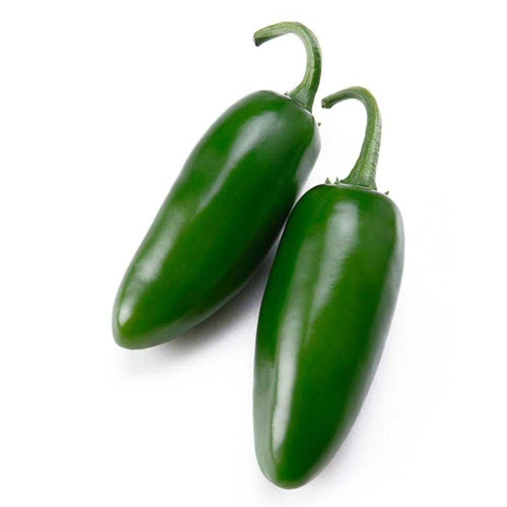 Chile Jalapeño