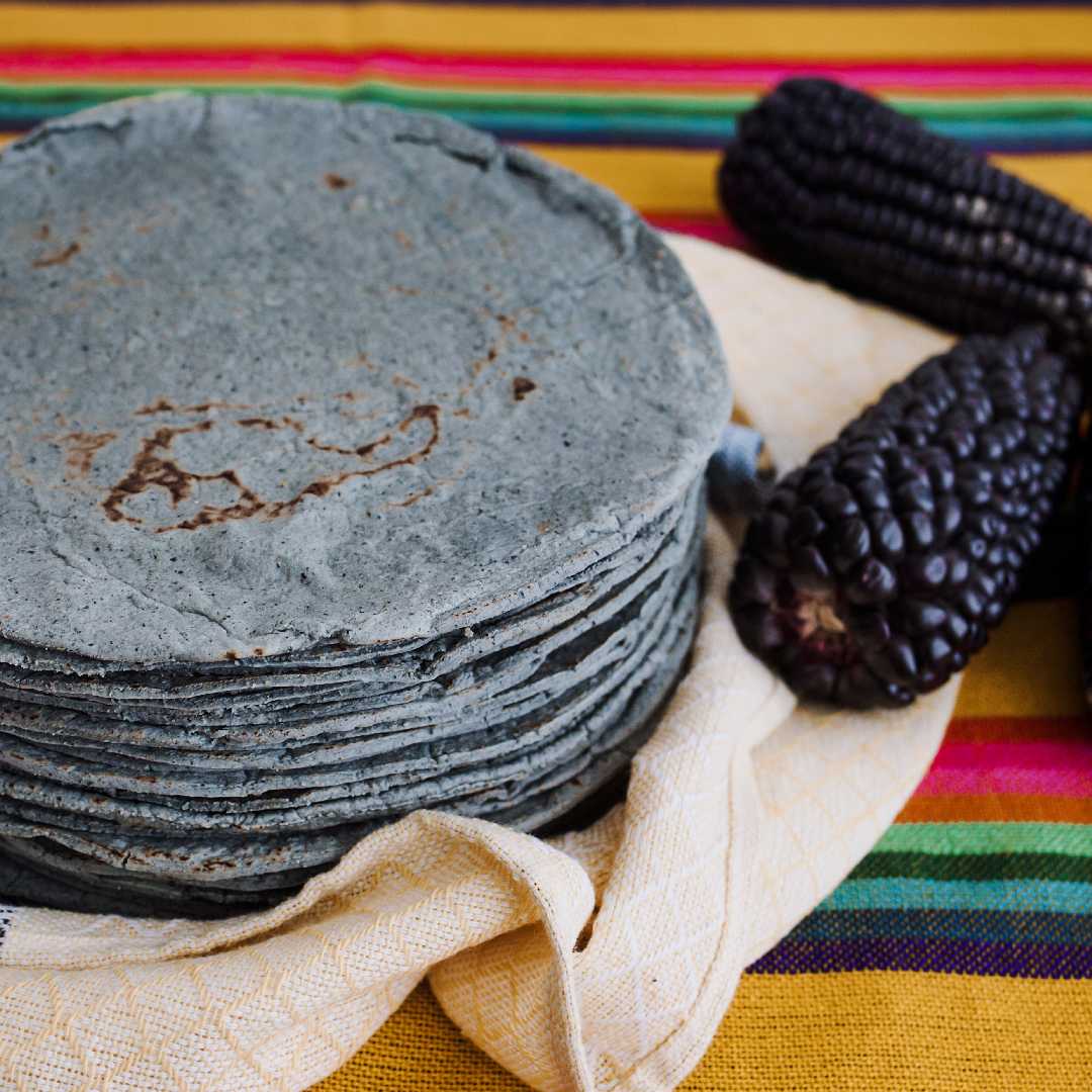 Tortilla de Maíz criollo (Blanco/Amarillo/Azul)